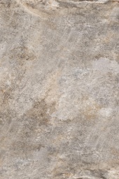 [SN320706000900GRS012] CALIFORNIA PLATINUM